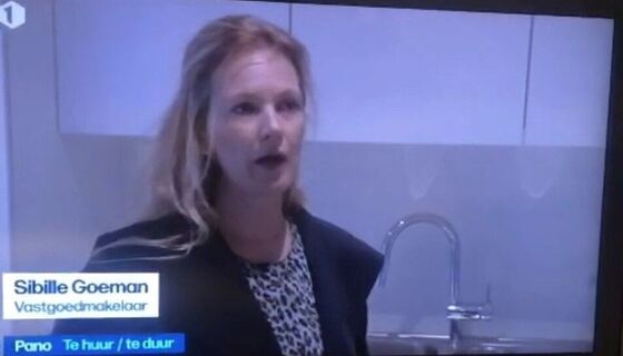 Goeman Vastgoed in Pano & VRT-journaal