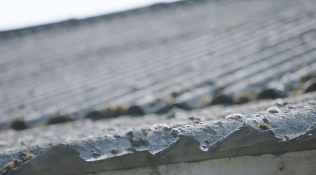 Vanaf 23 november is asbestattest verplicht bij verkoop huizen van voor 2001 in Vlaanderen