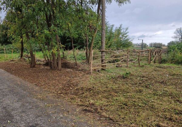 Bois &agrave; vendre &agrave; Aalst