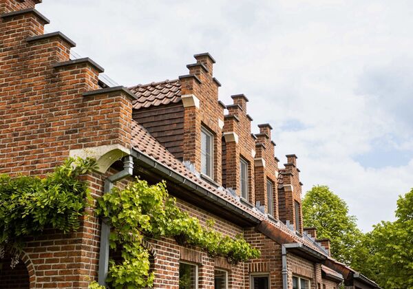 Gebouw voor gemengd gebruik te koop in Denderleeuw