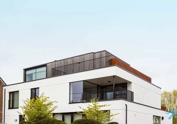Penthouse te koop in Ophasselt