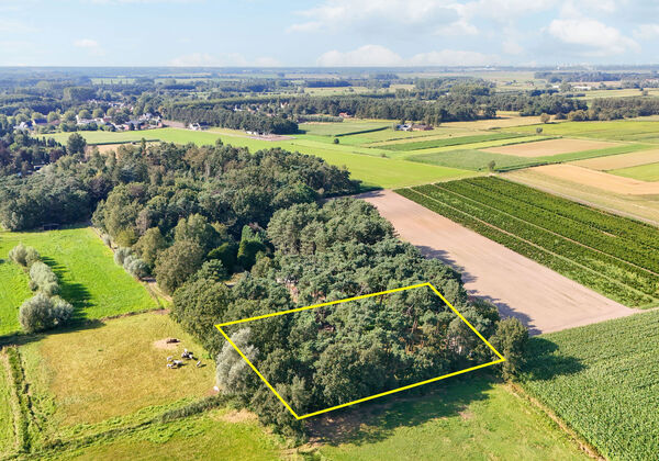 Plaine de jeu &agrave; vendre &agrave; Wachtebeke