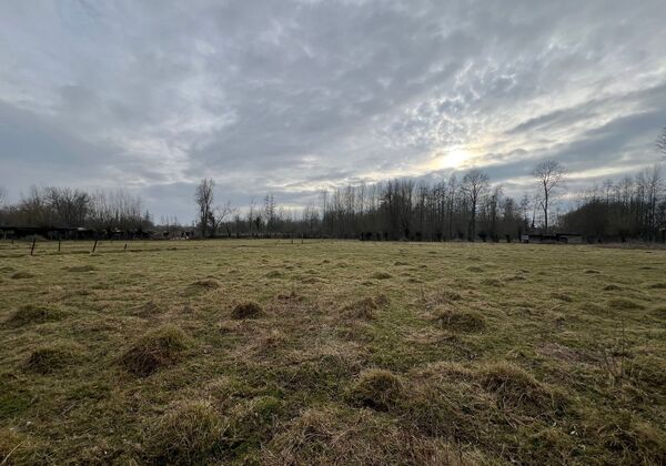 Prairie &agrave; vendre &agrave; Erpe-Mere