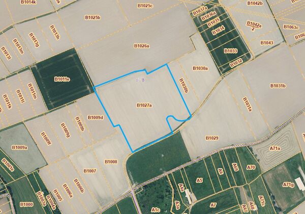 Terrain agricole &agrave; vendre &agrave; Wichelen