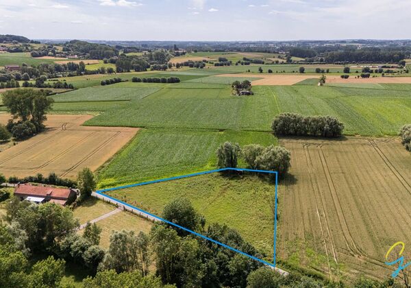 Weide te koop in Zandbergen