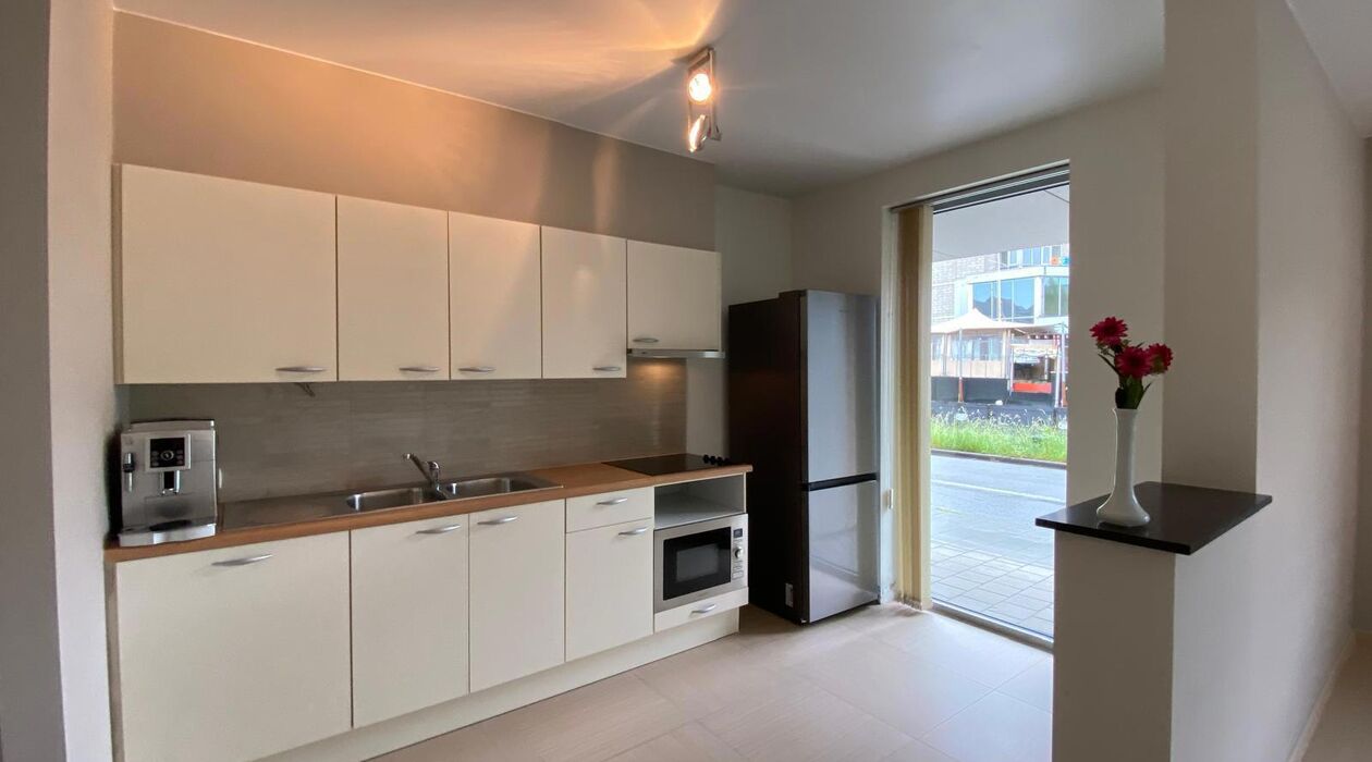 Appartement &agrave; louer &agrave; Gent