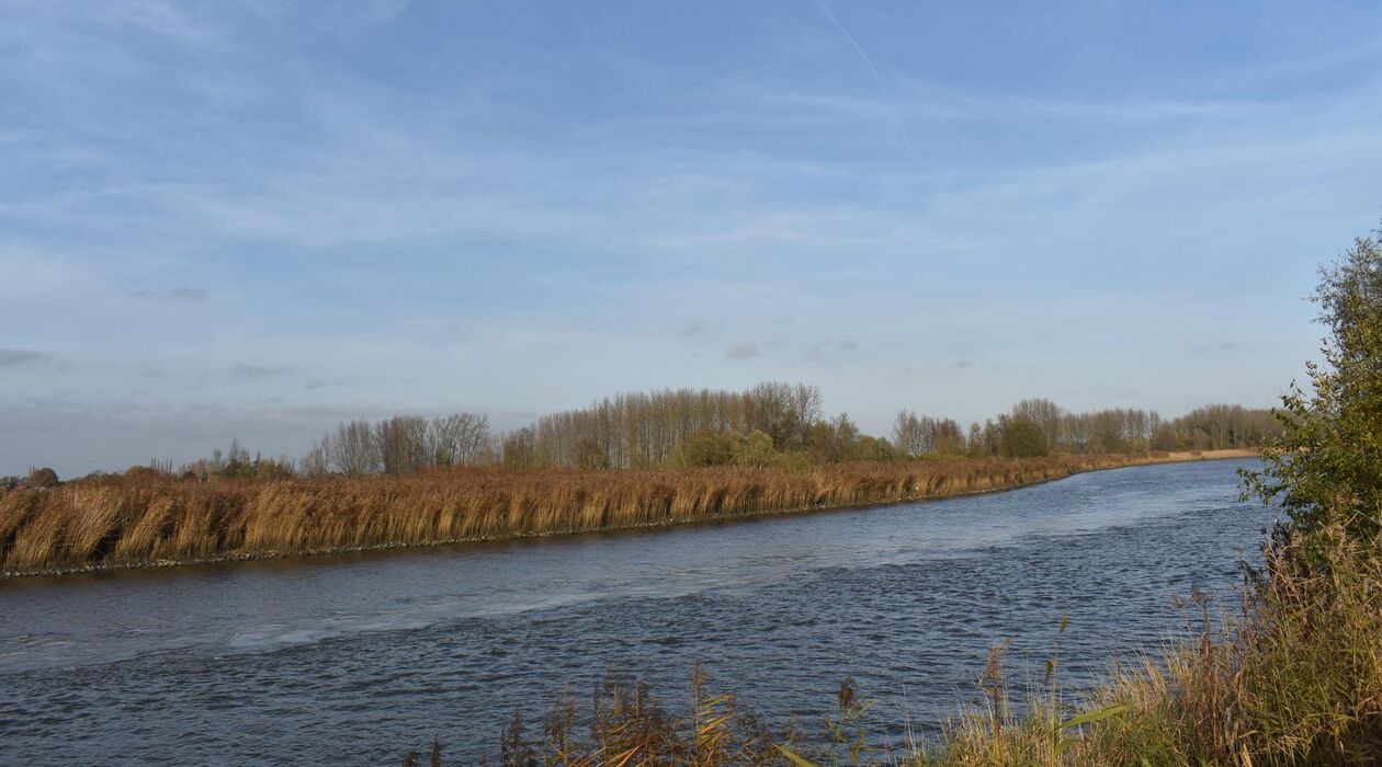 Appartement te huur in Dendermonde Schoonaarde