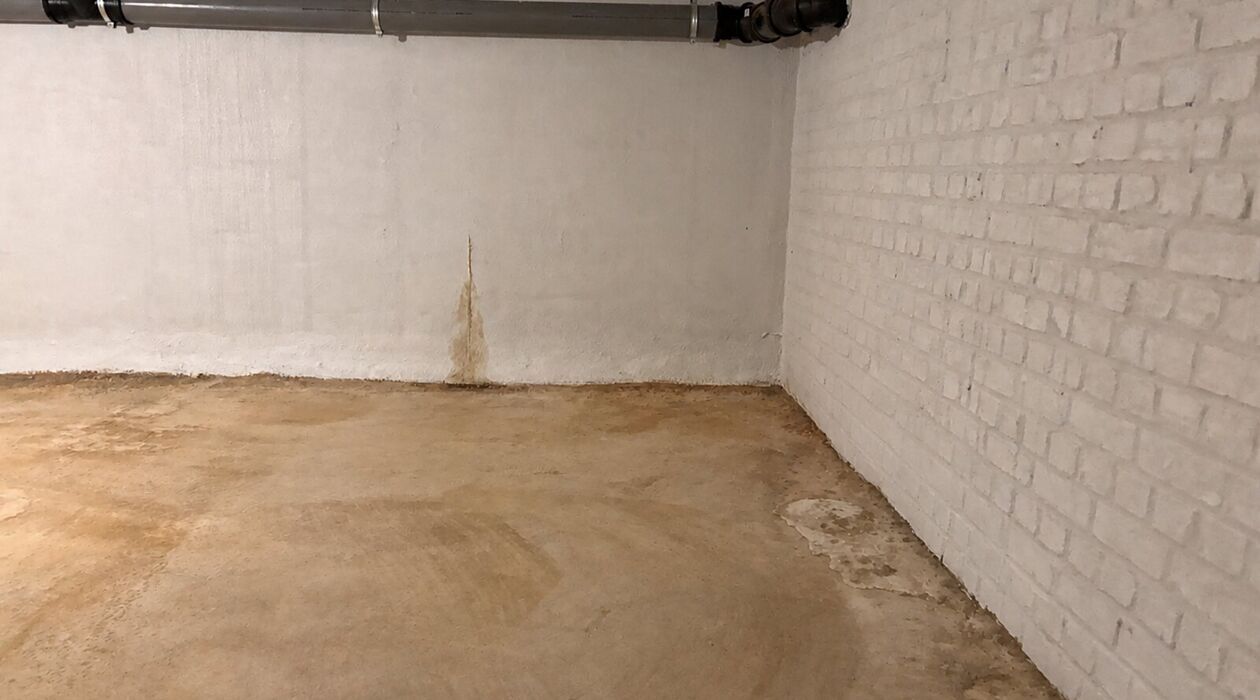 Cave à vendre à Geraardsbergen