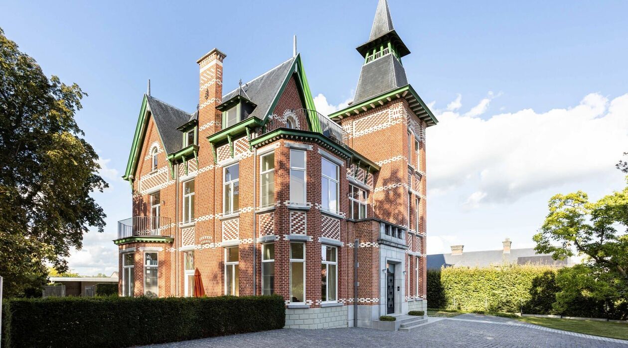 Ch&acirc;teau &agrave; vendre &agrave; Geraardsbergen
