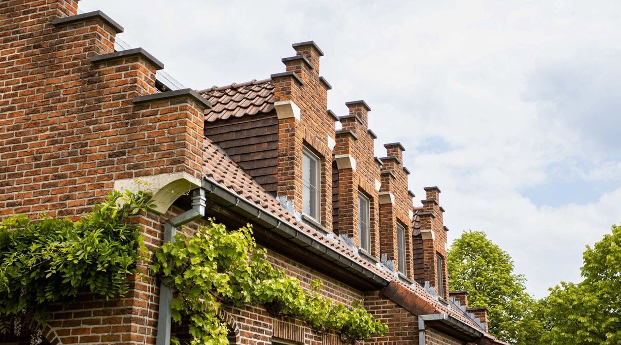 Gebouw voor gemengd gebruik te koop in Denderleeuw