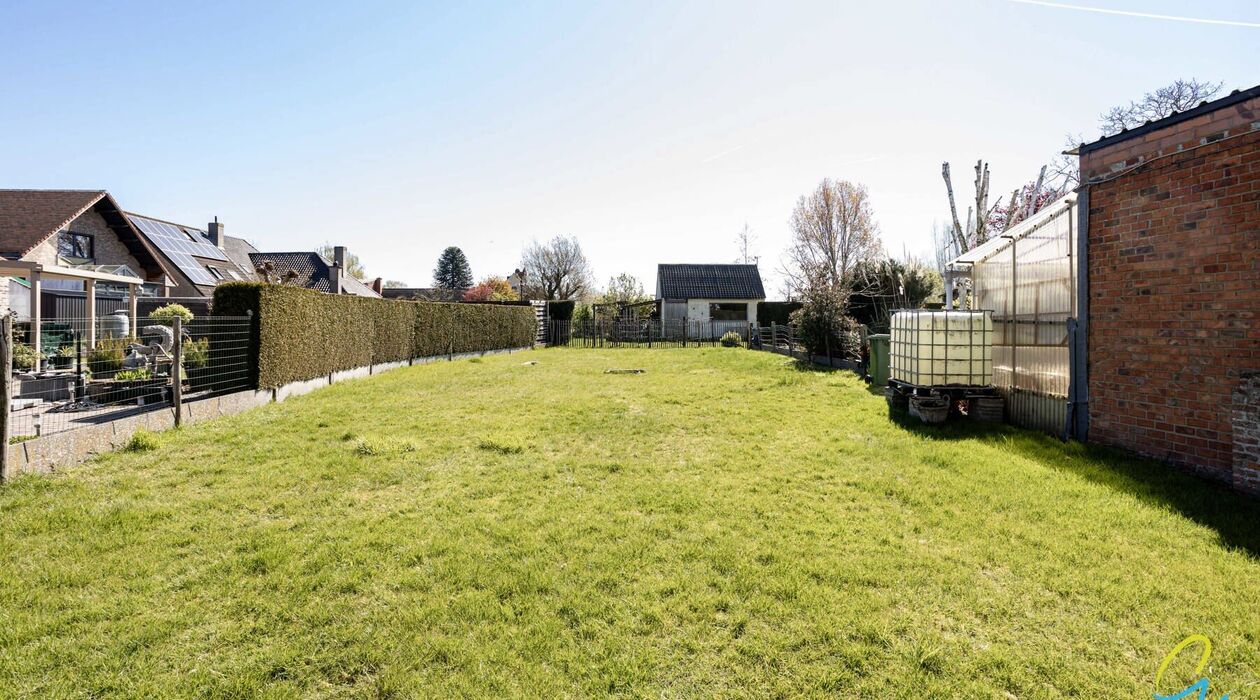 Terrain &agrave; vendre &agrave; Wichelen Schellebelle