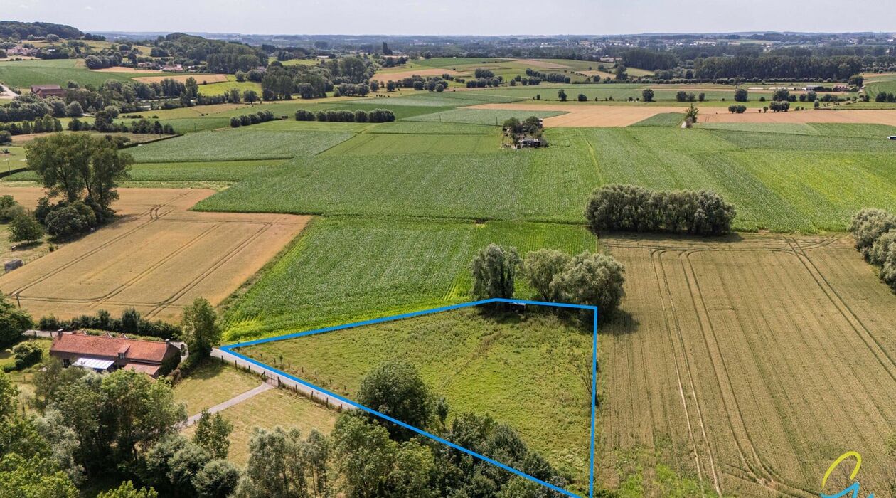 Weide te koop in Zandbergen