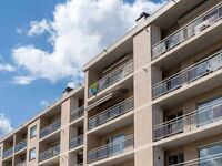 Appartement &agrave; louer &agrave; Geraardsbergen