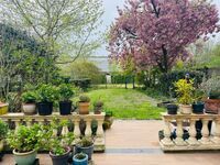 Bien exceptionnel &agrave; vendre &agrave; Aalst Gijzegem