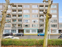 Commerce individuel &agrave; vendre &agrave; Lokeren