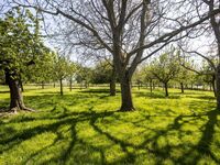 Huis te koop in Outer