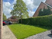 Maison &agrave; louer &agrave; Wichelen