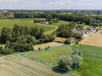 Weide te koop in Zandbergen
