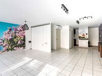 Winkelpand te koop in Ninove