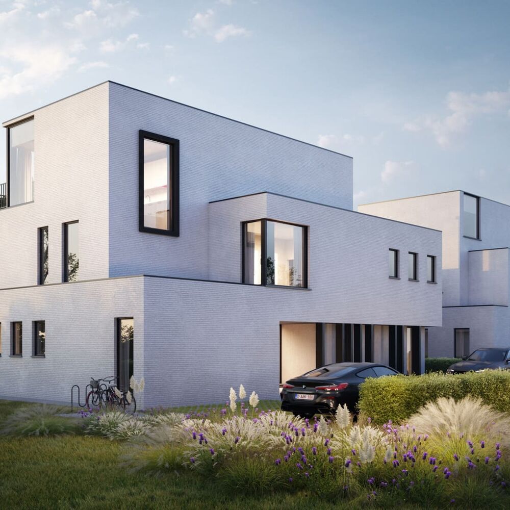 Niet gevonden wat je zocht?